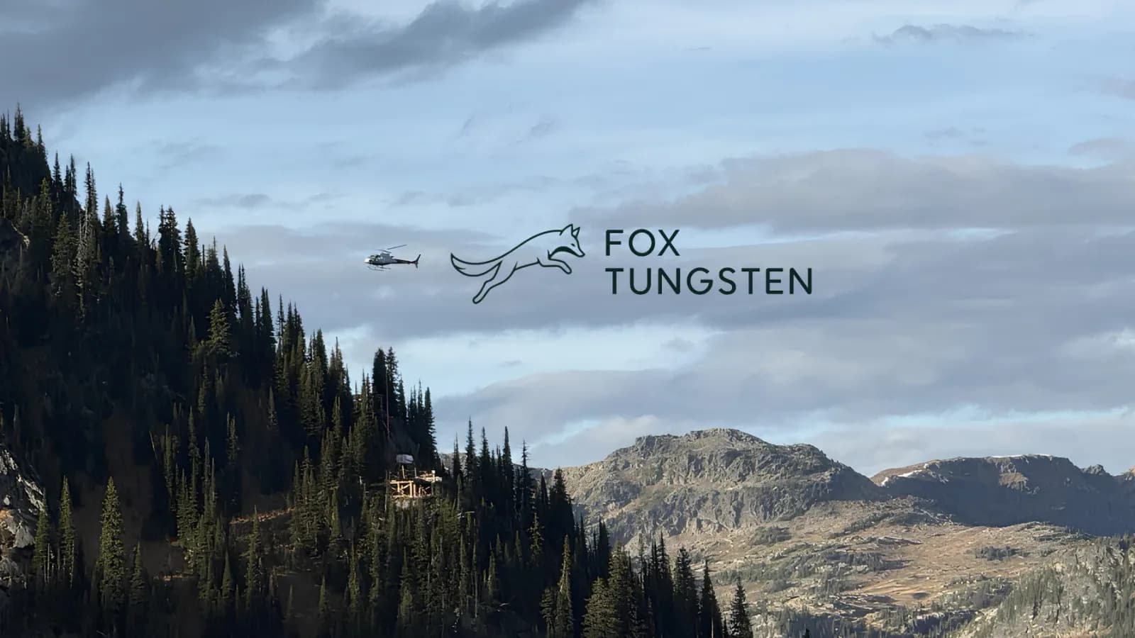 FOXT Is Advancing Across Multiple Fronts!